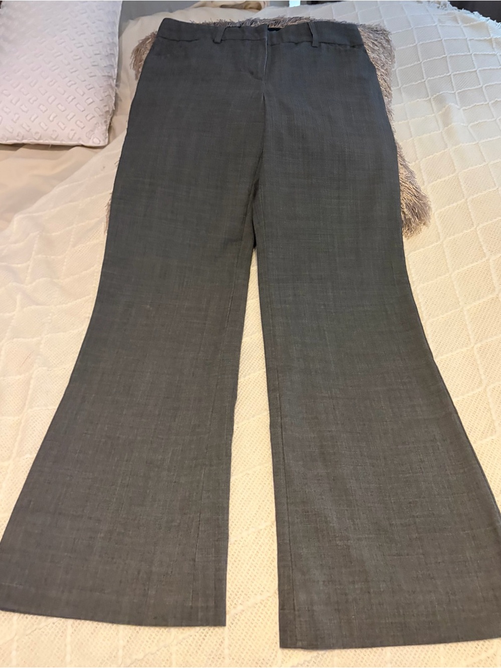 Express Wide Leg Dress Pants in Gray